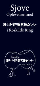 Flyers-Bumperball-web-15.05